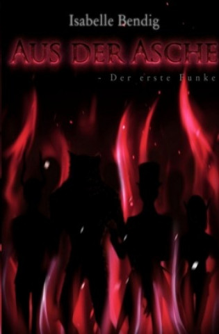 Książka Aus der Asche Isabelle Bendig