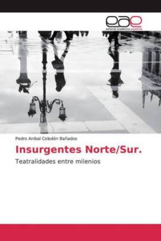 Book Insurgentes Norte/Sur. 