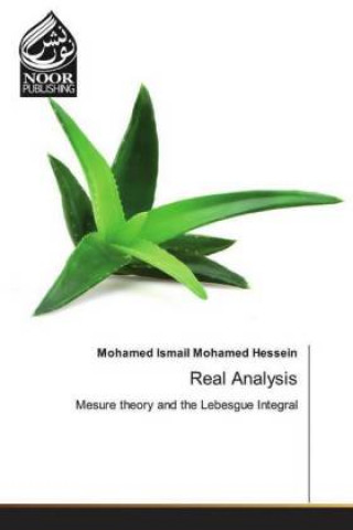 Knjiga Real Analysis Mohamed Ismail Mohamed Hessein