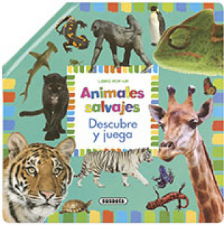 Libro ANIMALES SALVAJES ESTELLE TALAVERA