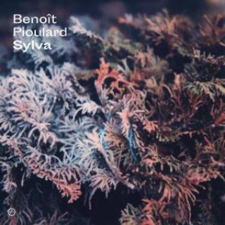 Zvok Sylva Benoît Pioulard