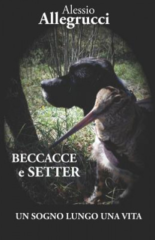 Knjiga Beccacce E Setter: Un Sogno Lungo Una Vita Alessio Allegrucci