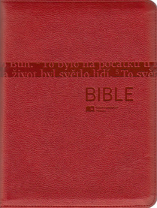 Książka Bible 
