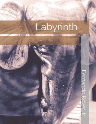 Knjiga Labyrinth Fernando Rover Jr
