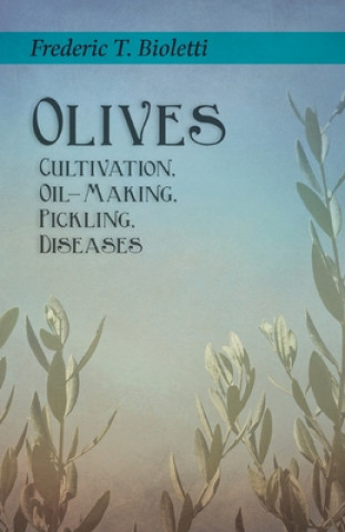 Buch Olives - Cultivation, Oil-Making, Pickling, Diseases Geo. E. Colby