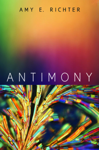 Książka Antimony Amy E. Richter