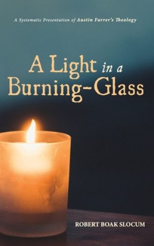 Kniha Light in a Burning-Glass 