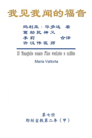 Buch The Gospel As Revealed to Me (Vol 7) - Simplified Chinese Edition Hon-Wai Hui