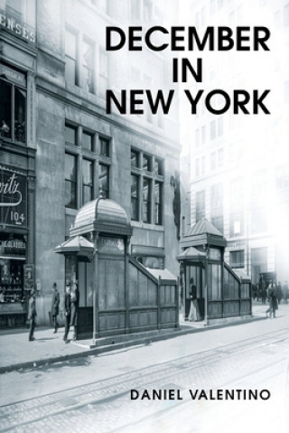 Kniha December in New York 