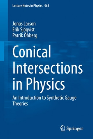 Książka Conical Intersections in Physics Jonas Larson