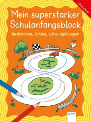 Kniha Buchstaben, Zahlen, Schwungübungen Carola Schäfer