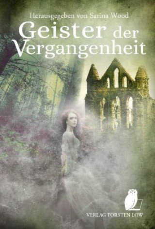 Knjiga Geister der Vergangenheit Vincent Voss