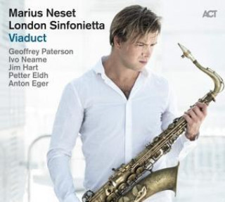 Audio Viaduct Marius Neset