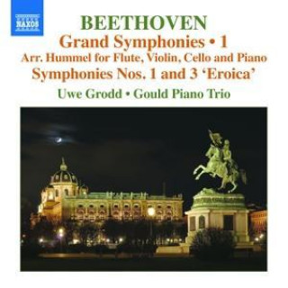 Audio Grand Symphonies,Vol.1 