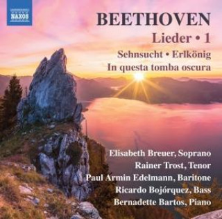 Audio Lieder,Vol.1 