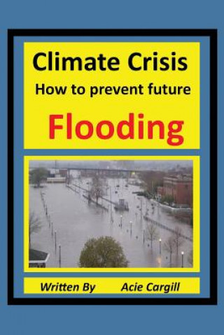 Book Climate Crisis: A Plan to Prevent Future Flooding Acie Cargill