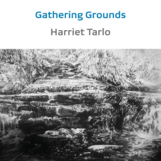 Boek Gathering Grounds Harriet Tarlo