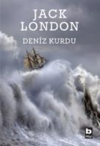 Kniha Deniz Kurdu 