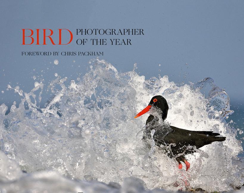 Kniha Bird Photographer of the Year Bird Photographer of the Year