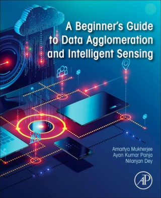 Kniha Beginner's Guide to Data Agglomeration and Intelligent Sensing Ayan Kumar Panja