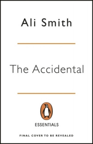 Könyv Accidental Ali Smith