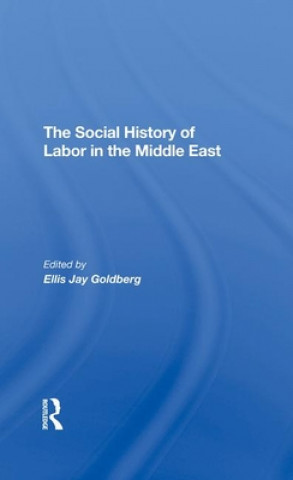 Kniha Social History Of Labor In The Middle East Ellis Goldberg