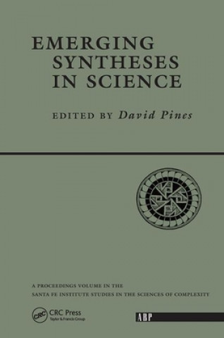 Buch Emerging Syntheses In Science David Pines