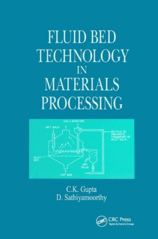 Buch Fluid Bed Technology in Materials Processing C. K. Gupta