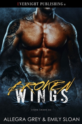 Livro Broken Wings Allegra Grey