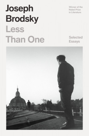 Kniha Less Than One: Selected Essays 