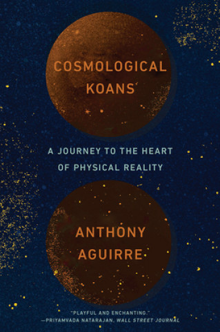 Kniha Cosmological Koans - A Journey to the Heart of Physical Reality 