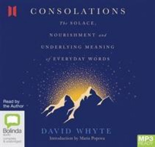 Audio Consolations David Whyte