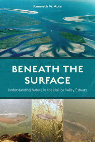 Book Beneath the Surface Kenneth W. Able