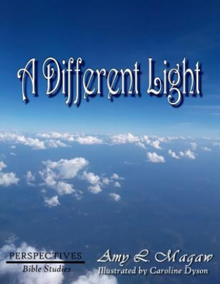 Knjiga A Different Light Caroline W Dyson