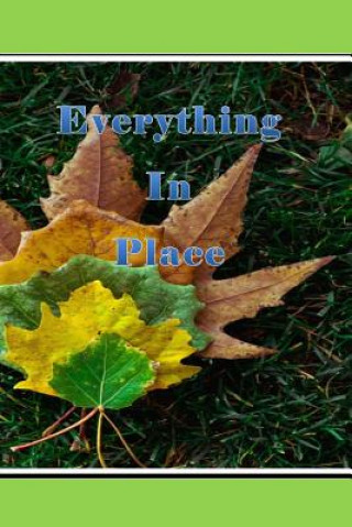 Buch Everything In Place Palinco Publications