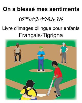 Carte Français-Tigrigna On a blessé mes sentiments/&#4661;&#4637;&#4818;&#4720;&#4845; &#4720;&#4878;&#4850;&#4769; &#4773;&#4841; Livre d'images bilingue p Suzanne Carlson