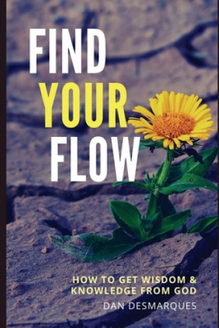 Libro Find Your Flow Dan Desmarques