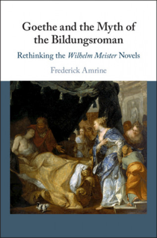 Kniha Goethe and the Myth of the Bildungsroman Amrine