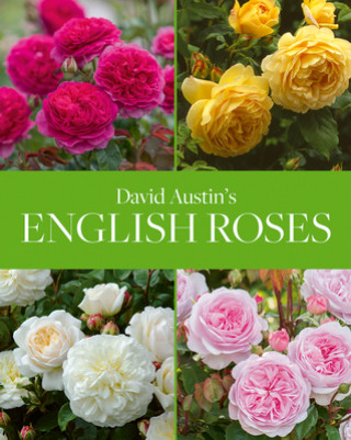 Könyv David Austin's English Roses Austin