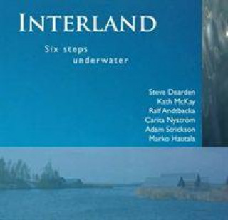 Kniha Interland Steve Dearden