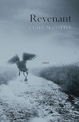 Könyv Revenant Clare McCotter