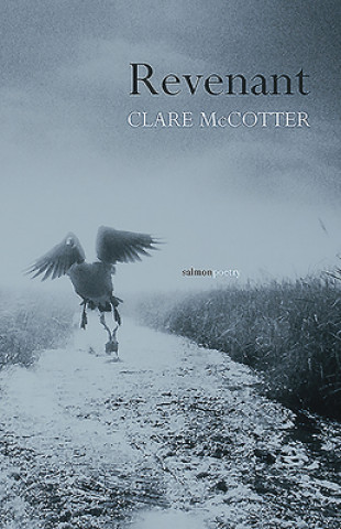 Книга Revenant Clare McCotter