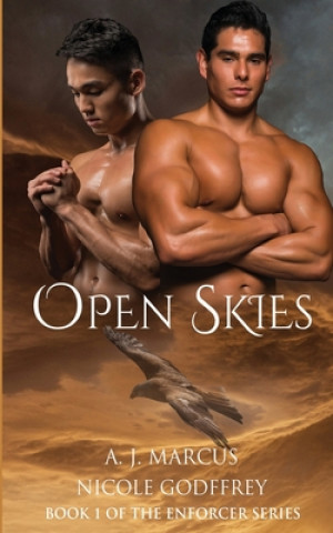Kniha Open Skies Nicole Godfrey