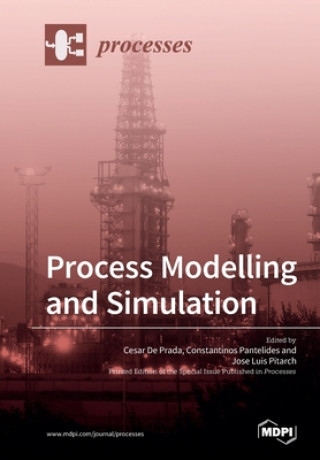 Kniha Process Modelling and Simulation 