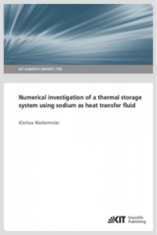 Knjiga Numerical investigation of a thermal storage system using sodium as heat transfer fluid 