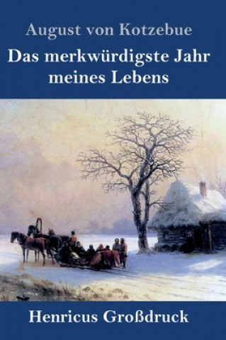 Книга merkwurdigste Jahr meines Lebens (Grossdruck) 