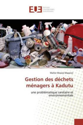 Knjiga Gestion des déchets ménagers ? Kadutu Walter Mweze Mapenzi