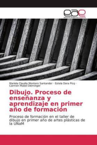 Buch Dibujo. Proceso de ense?anza y aprendizaje en primer a?o de formación Estela Dora Picq