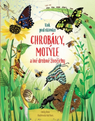 Book Chrobáky, motýle a iné drobné živočíchy autorov Kolektív