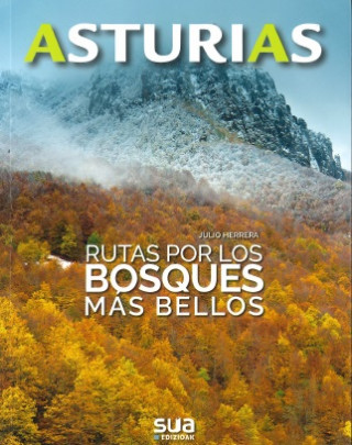 Könyv ASTURIAS JULIO HERRER